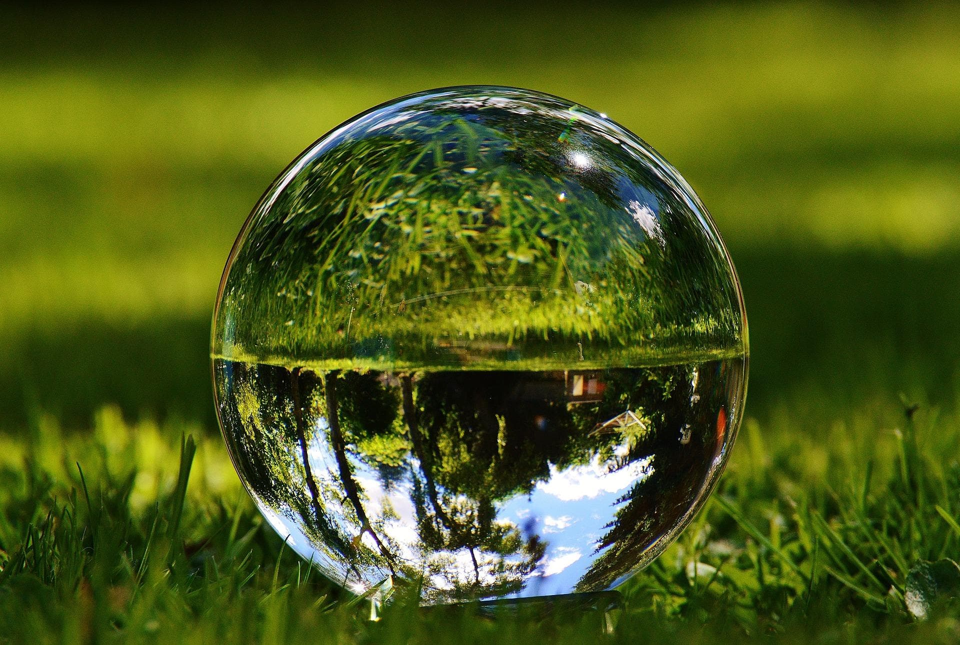 Bola de vidre reflexant un estany envoltat d'arbres